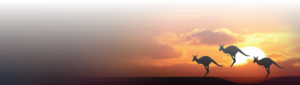 Grey-nomads-sunset
