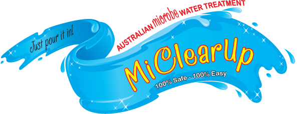 Custom Text